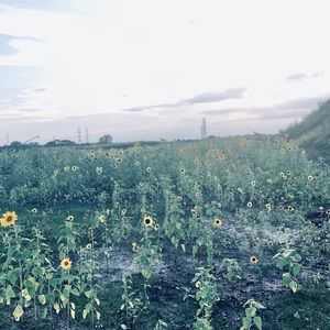 Meet your Posher, Karla